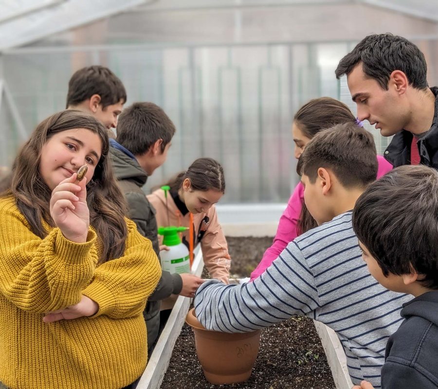 PXL_20240318_101655407.PORTRAIT