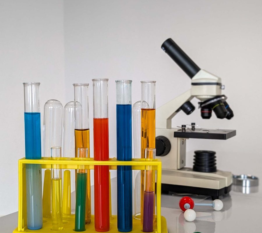 PXL_20240718_100938588.PORTRAIT