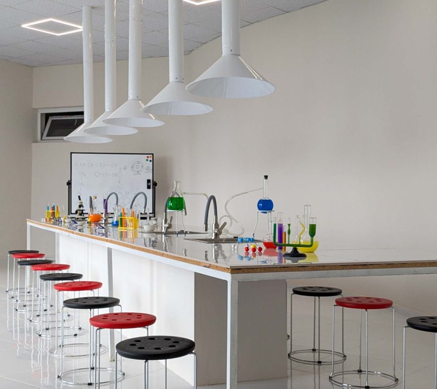 PXL_20240718_123313748.PORTRAIT.ORIGINAL