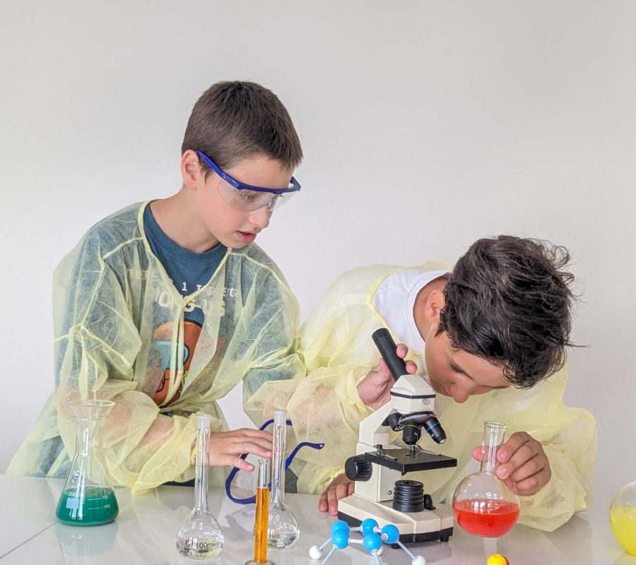 PXL_20240718_130131518.PORTRAIT