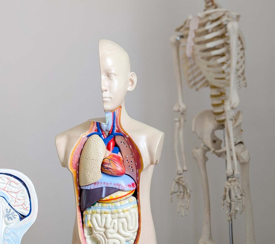 PXL_20240725_132857289.PORTRAIT