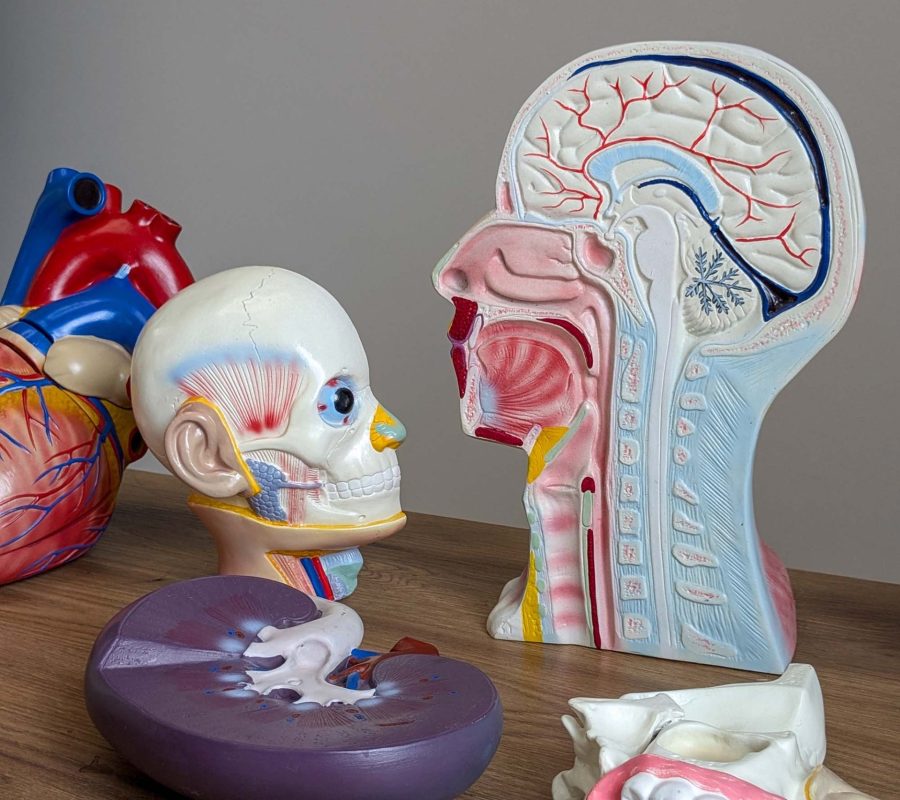 PXL_20240725_133005603.PORTRAIT.ORIGINAL