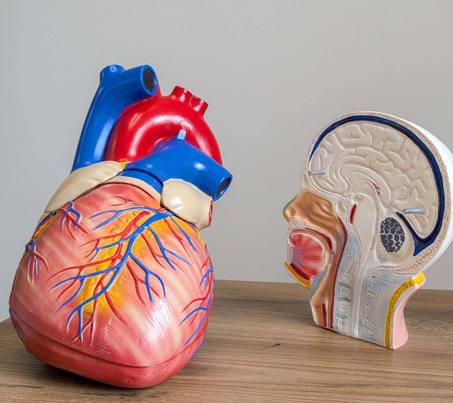 PXL_20240725_133054661.PORTRAIT.ORIGINAL